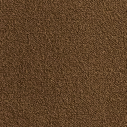 Soft Mocha/Classic Cream