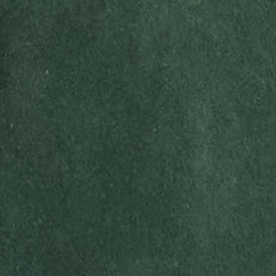 Verde ecuestre