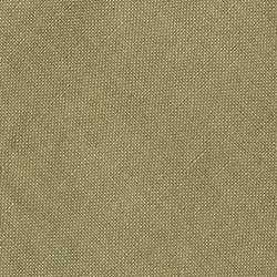 Fern Green