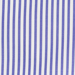 Blue/White