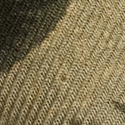 Oliva