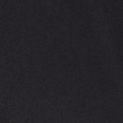 Polo Black