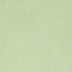 Palm Green