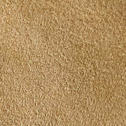 Classic Tan