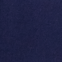Spring Navy