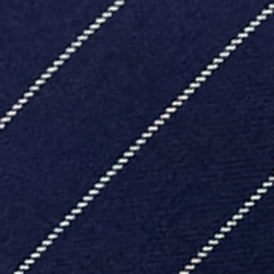 Spring Navy/gr&auml;ddvit