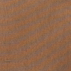 Mocha