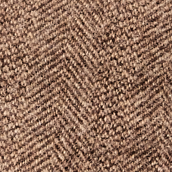 Brown/Camel