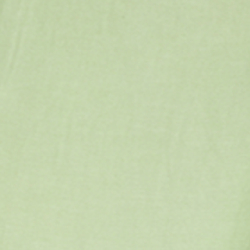 Palm Green