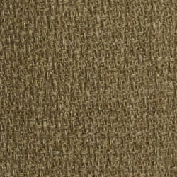 Fern Green