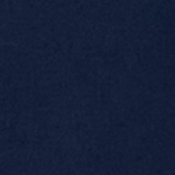 Racing Navy