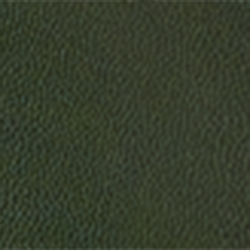 Dark Racing Green