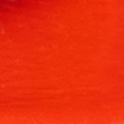 Bright Orange