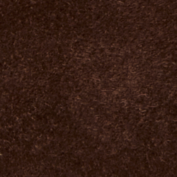 Dark Hickory