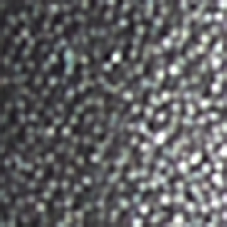 Polished Silver