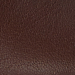 Dark Hickory