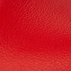 Bright Vermilion