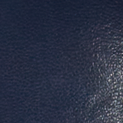Refined Navy