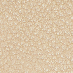 Sand Dune