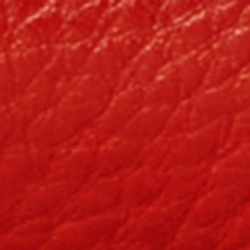 Bright Vermilion