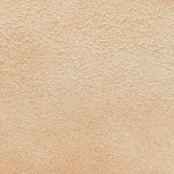 Sand Dune
