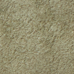 Salbei-Grün