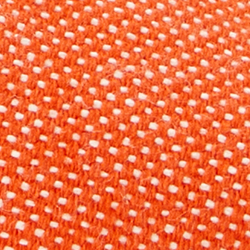 Orange Lily