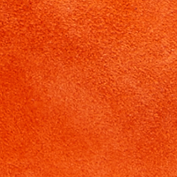 Orange Lilie