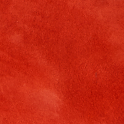 Bright Vermilion