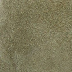 Sage Green/Sage Green