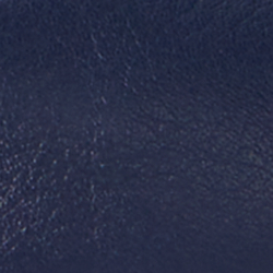 Refined Navy