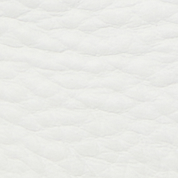 Schneeweiß/Sanddüne