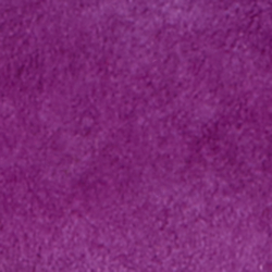 Purple Dawn