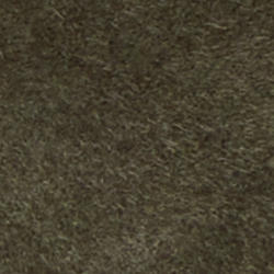Dark Olive
