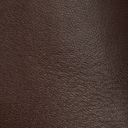Dark Hickory