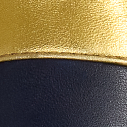 Refined Navy/Modern Gold