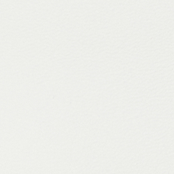 White/Dark Olive/Camel