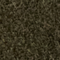 Verde oliva scuro