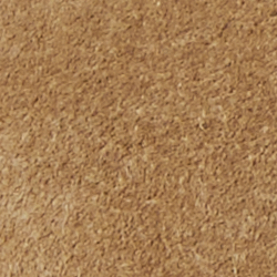 Nature/Camel/Chamois