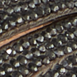 Taupe Brown/Black Diamond