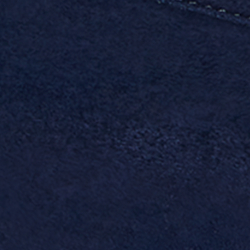 Refined Navy