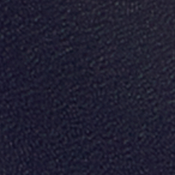 Refined Navy