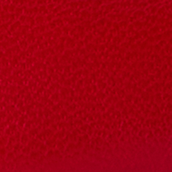 Festive Red