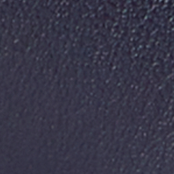 Refined Navy