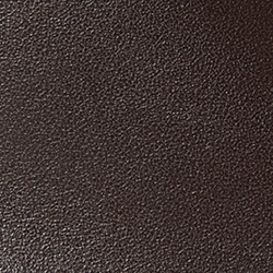 Chestnut Brown