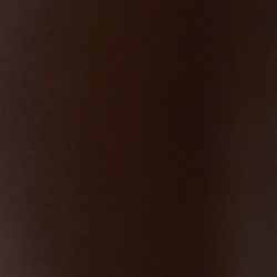 Chestnut Brown