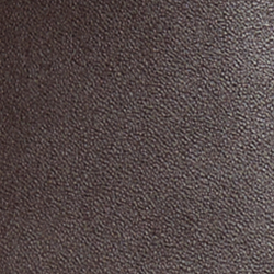 Chestnut Brown