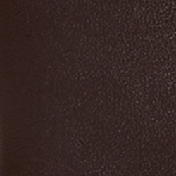 Chestnut Brown