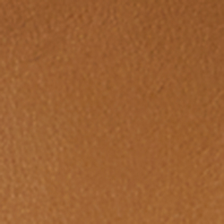 Camel/Camel