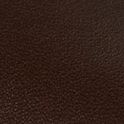 Chestnut Brown